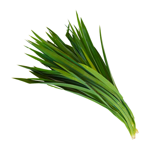 Pandan leaves