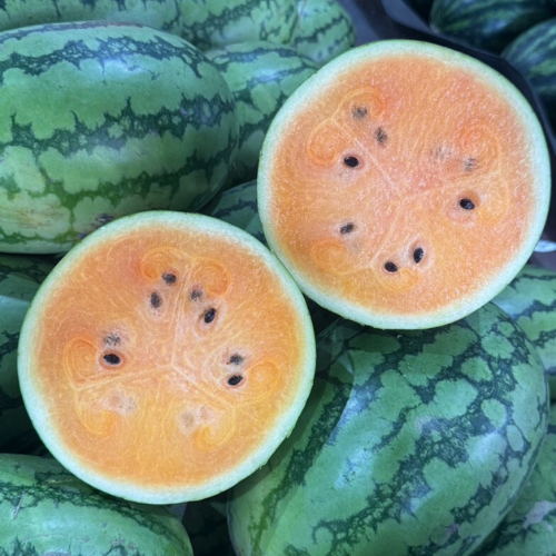 Queen Lady Orange Watermelon, Export from Thailand 1 kg.