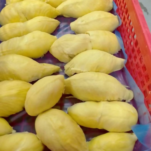 frozendurian2