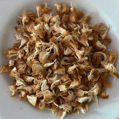 Bulk Order Dried Lion's Mane 1 kg. Mushroom from Farm in Thailand