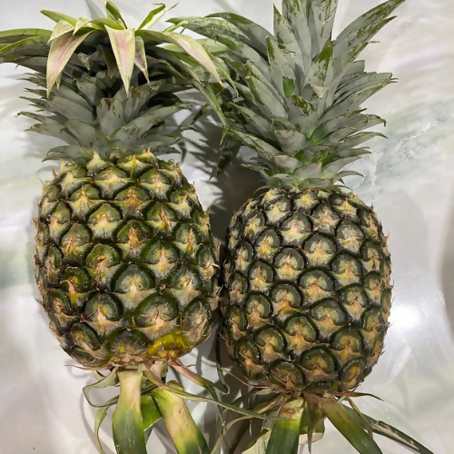 Fresh Sriracha Pineapple, Fresh Pineapple from Farm in Thailand
