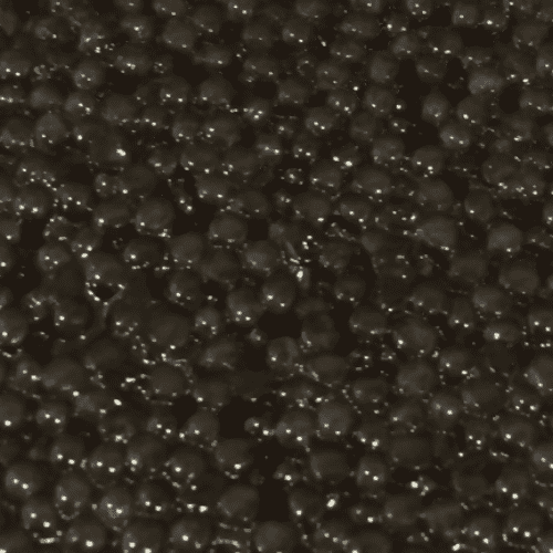 Beluga Caviar, Premium Great Sturgeon Wholesale